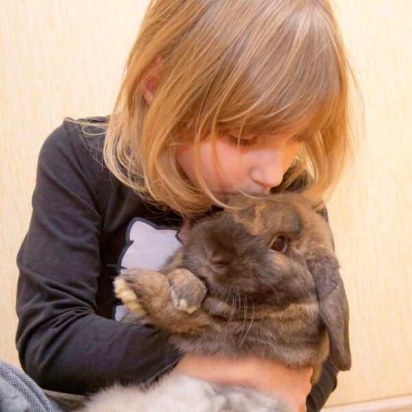 Wat te doen met het lichaam?